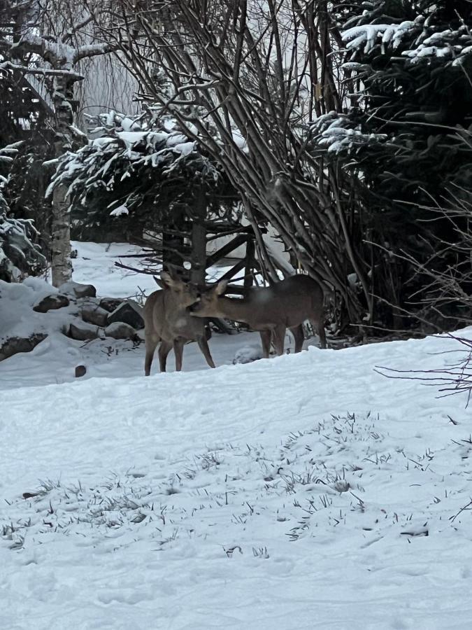 Le Chalet De Juliette Gérardmer Zewnętrze zdjęcie