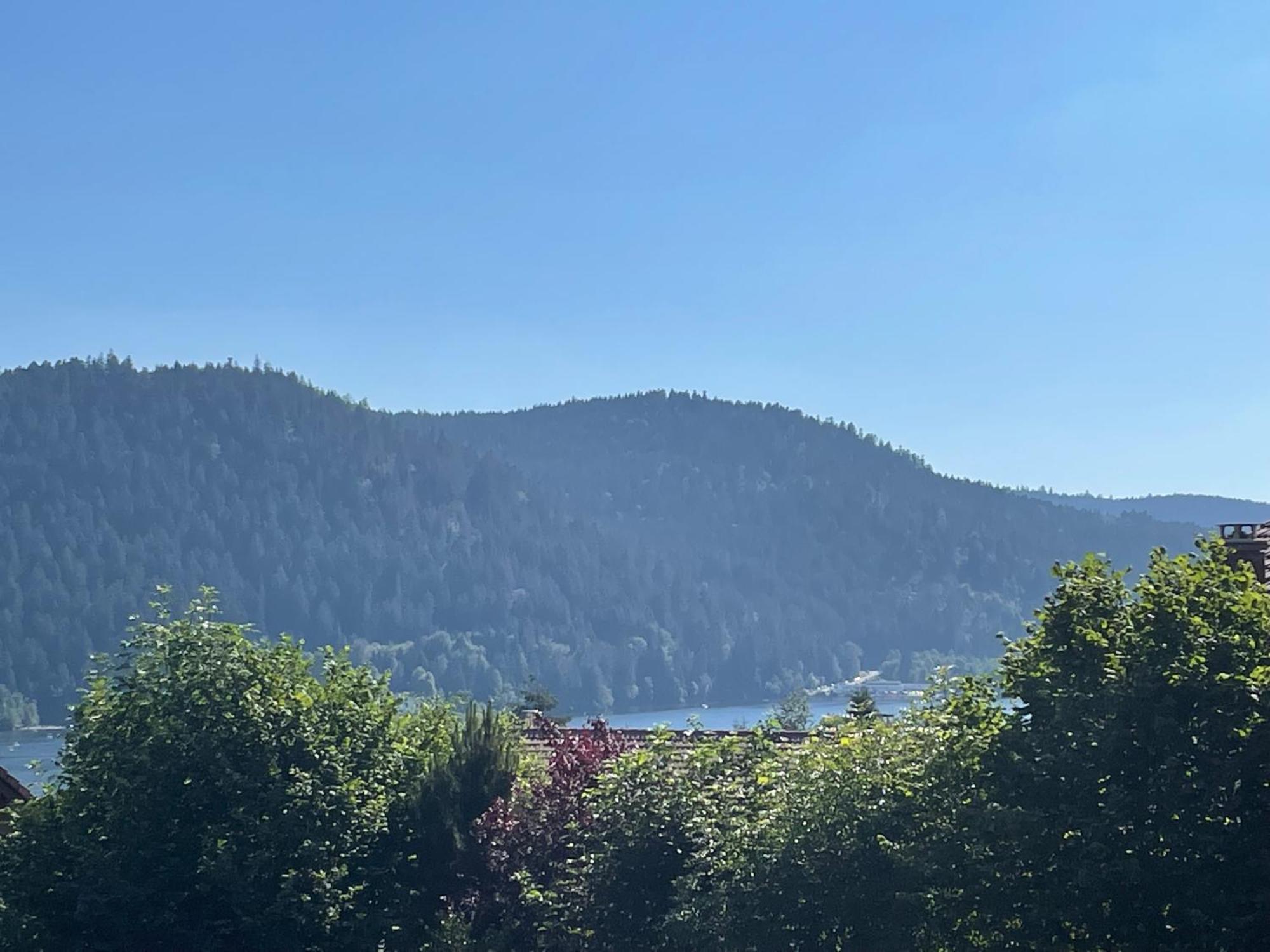 Le Chalet De Juliette Gérardmer Zewnętrze zdjęcie